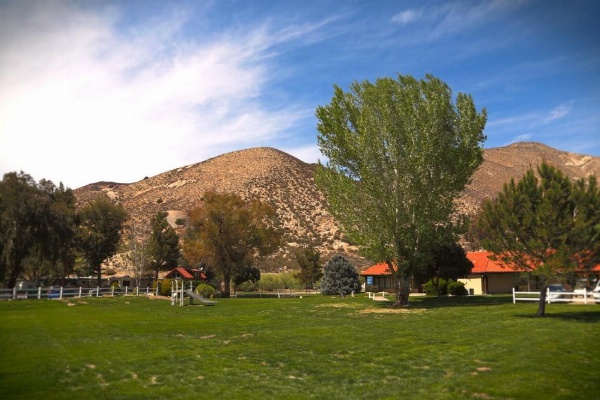 Soledad Canyon Cottage 2 image 15